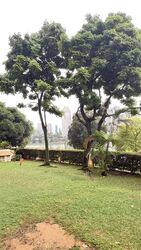Costa Rhu (D15), Condominium #586254691